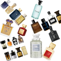 5+ Luxury Cologne Vendors + Guide